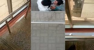 Milf affair Capturing From The Top