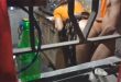 Neighbour Couples Fucking – Captured From Window